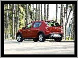 Las, Bordowa, Dacia Sandero