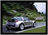 Smart Roadster