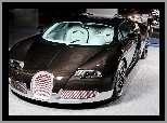 Karbon, Bugatti Veyron